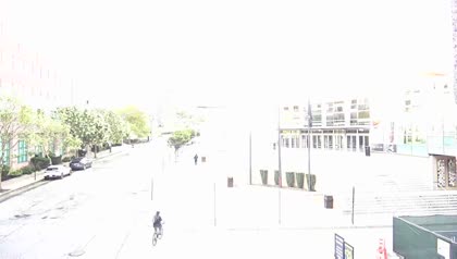 2025-08-03