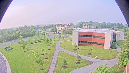 2025-06-07