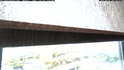 2025-08-01
