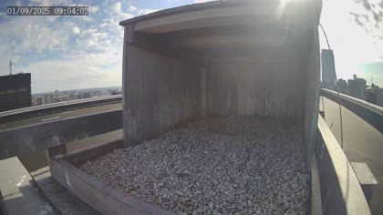 2025-09-01