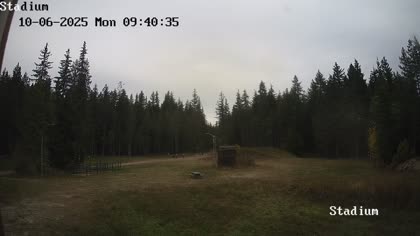 2025-10-06