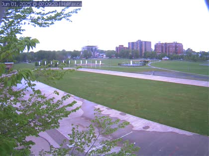 2025-06-01