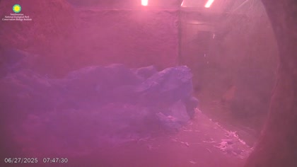 2025-06-27