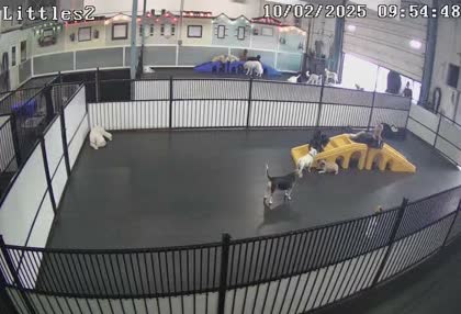 2025-10-02