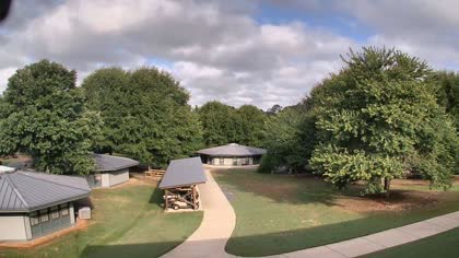 2025-08-07