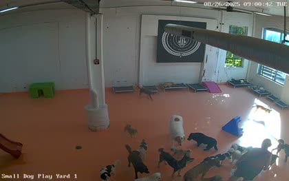 2025-08-26