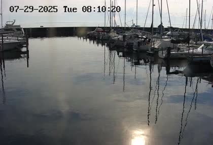 2025-07-29