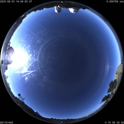 2025-08-03