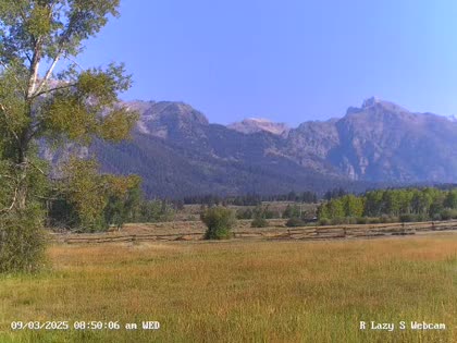2025-09-03