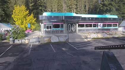 2025-05-20