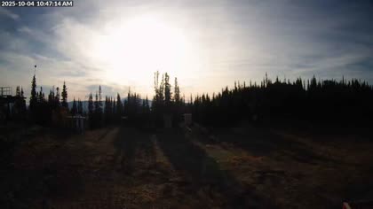 2025-10-04