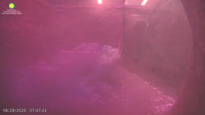 2025-06-28