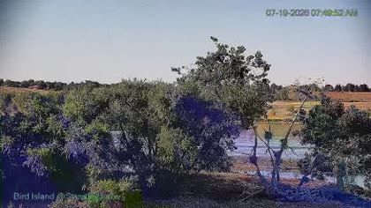 2026-07-19