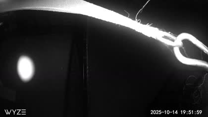 2025-10-15