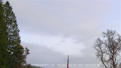 2025-05-15