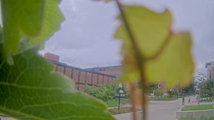 2025-06-09