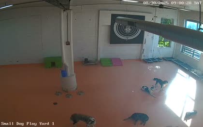 2025-08-30