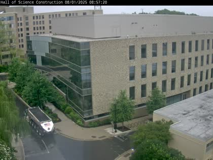 2025-08-01