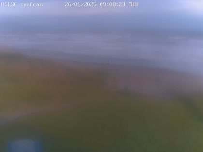 2025-06-25