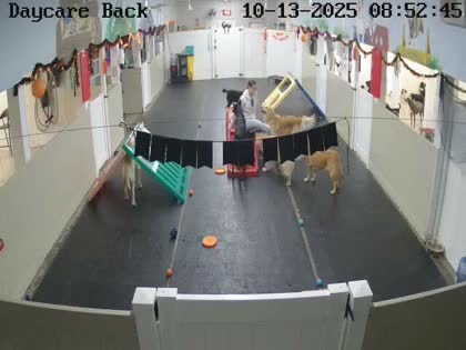 2025-10-13