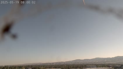 2025-05-19