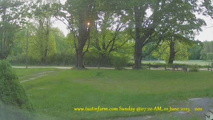 2025-06-01