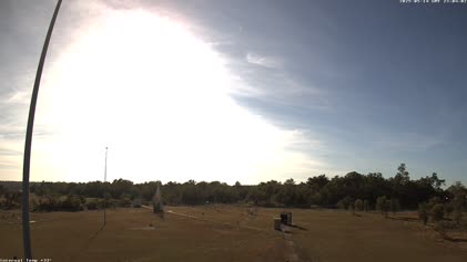 2025-05-15