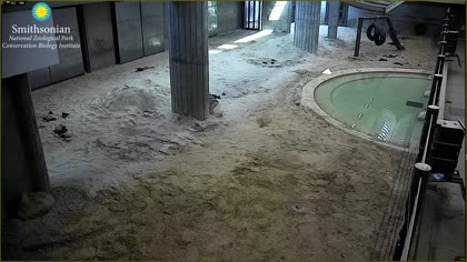2025-08-09