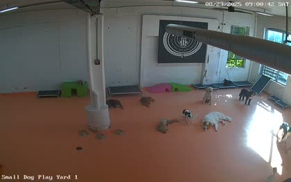 2025-08-23