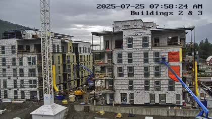 2025-07-25