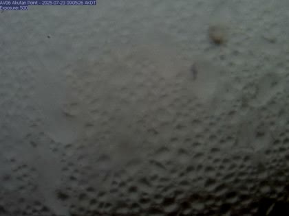 2025-07-23