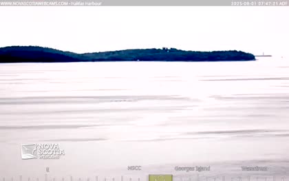 2025-08-01