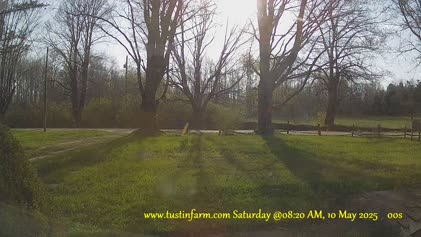 2025-05-10