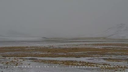 2025-08-01