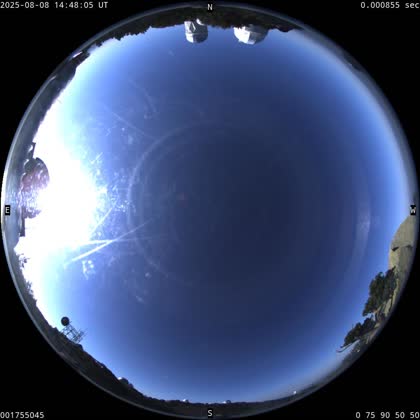 2025-08-08