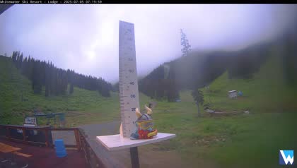 2025-07-05