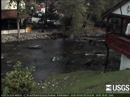 2026-08-08