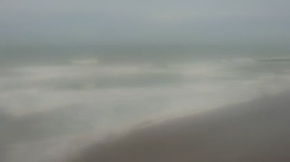 2025-07-29
