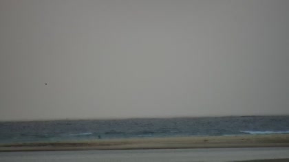 2025-08-02