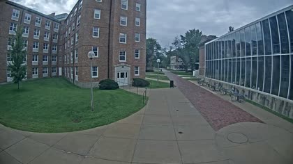 2025-08-11
