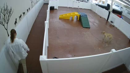 2025-06-09