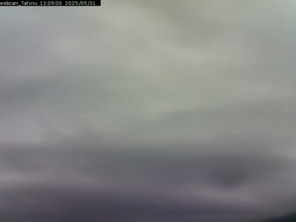 2025-05-31