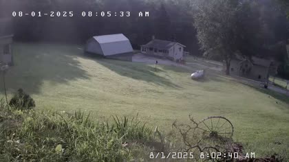 2025-08-01
