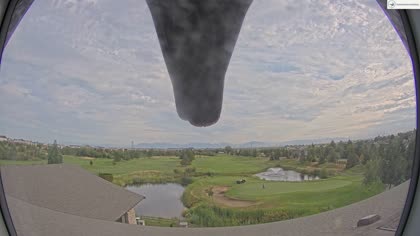 2025-07-31