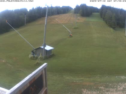 2025-07-12