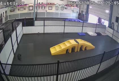 2025-06-06