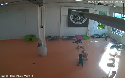 2025-09-03