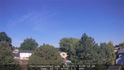 2025-08-12