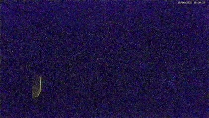 2025-06-19
