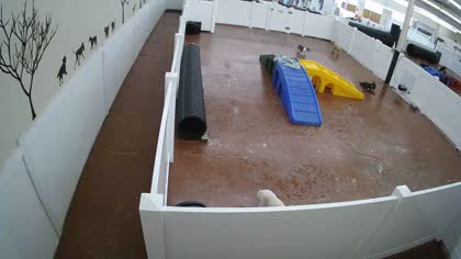 2025-10-11
